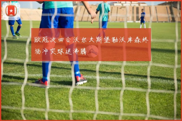欧冠次回合沃尔夫斯堡勒沃库森终场冲突球迷沸腾