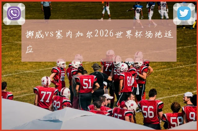 挪威vs塞内加尔2026世界杯场地适应