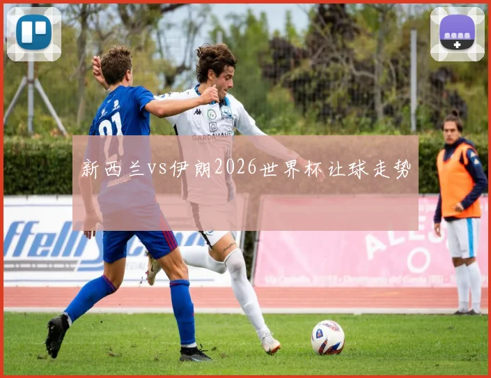 新西兰vs伊朗2026世界杯让球走势