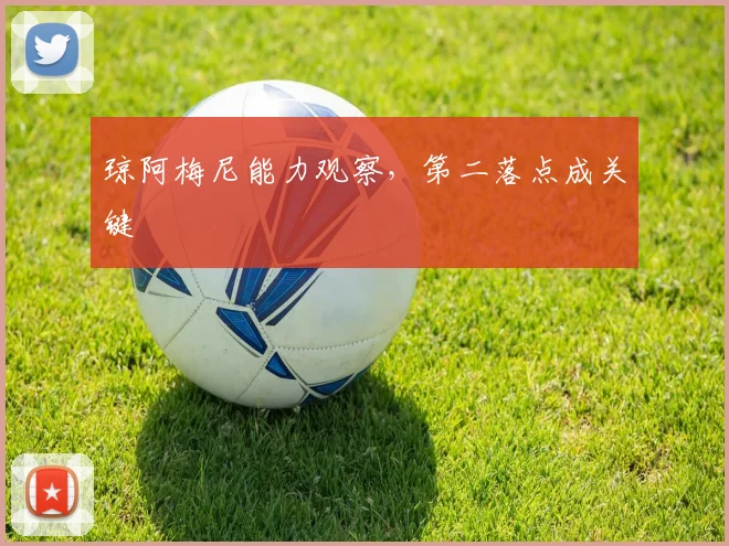 琼阿梅尼能力观察，第二落点成关键