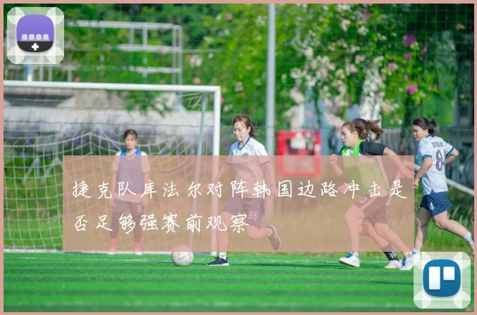 捷克队库法尔对阵韩国边路冲击是否足够强赛前观察